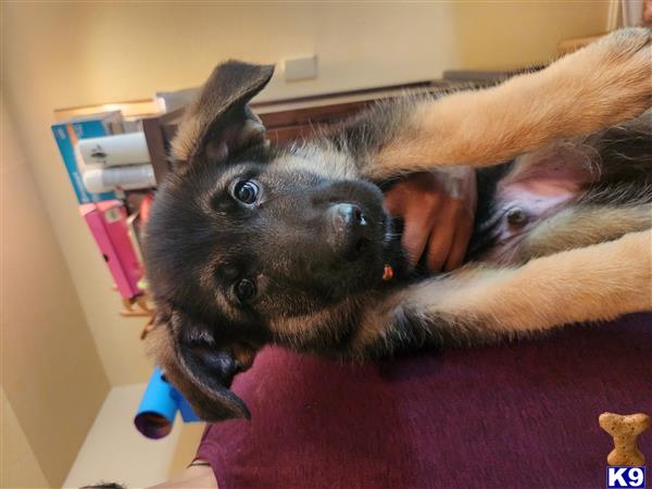 AlissaY Picture 2